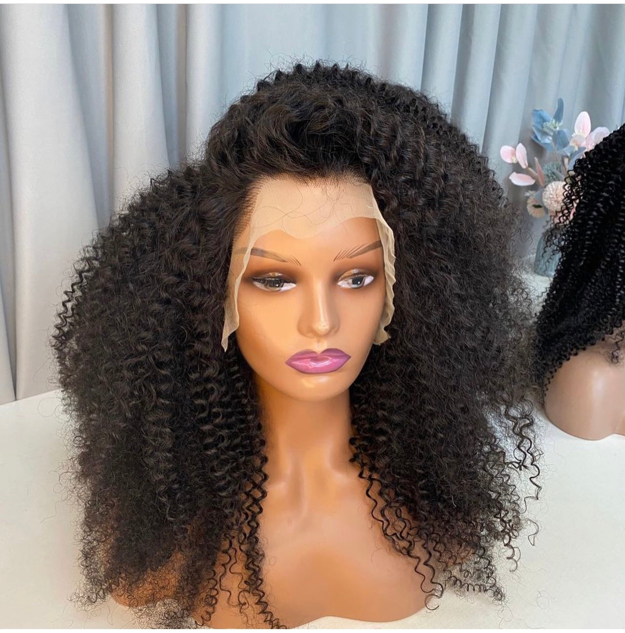 Eurasian curl